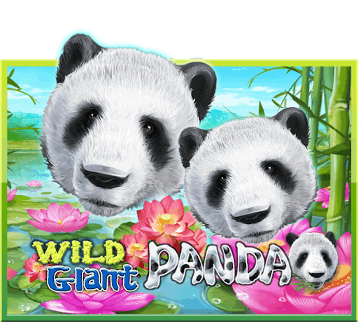 เกมสล็อต Wild Panda จากค่ายเกม SLOTXO